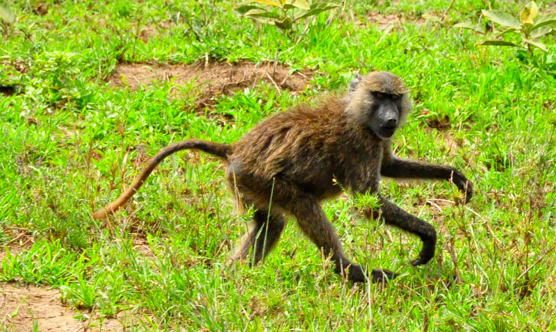 Melanie Heinrich Travel Images Africa